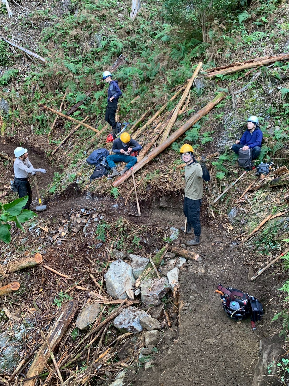 未経験歓迎！応募から就業までの流れまとめ🌲