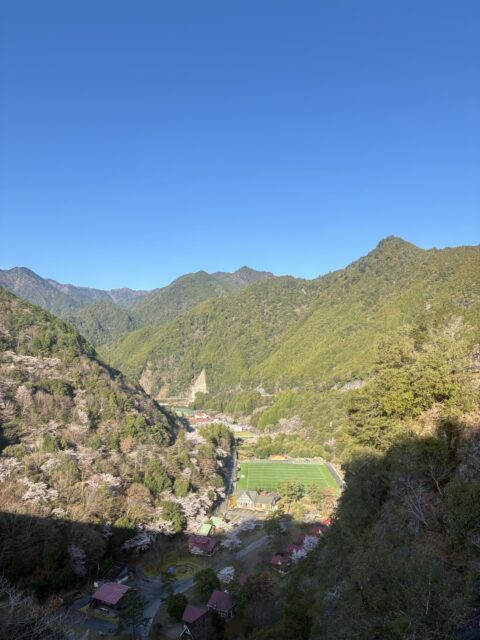 下北山村の桜2026