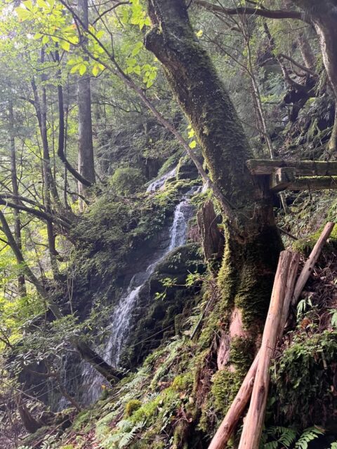 山の中の小さな滝