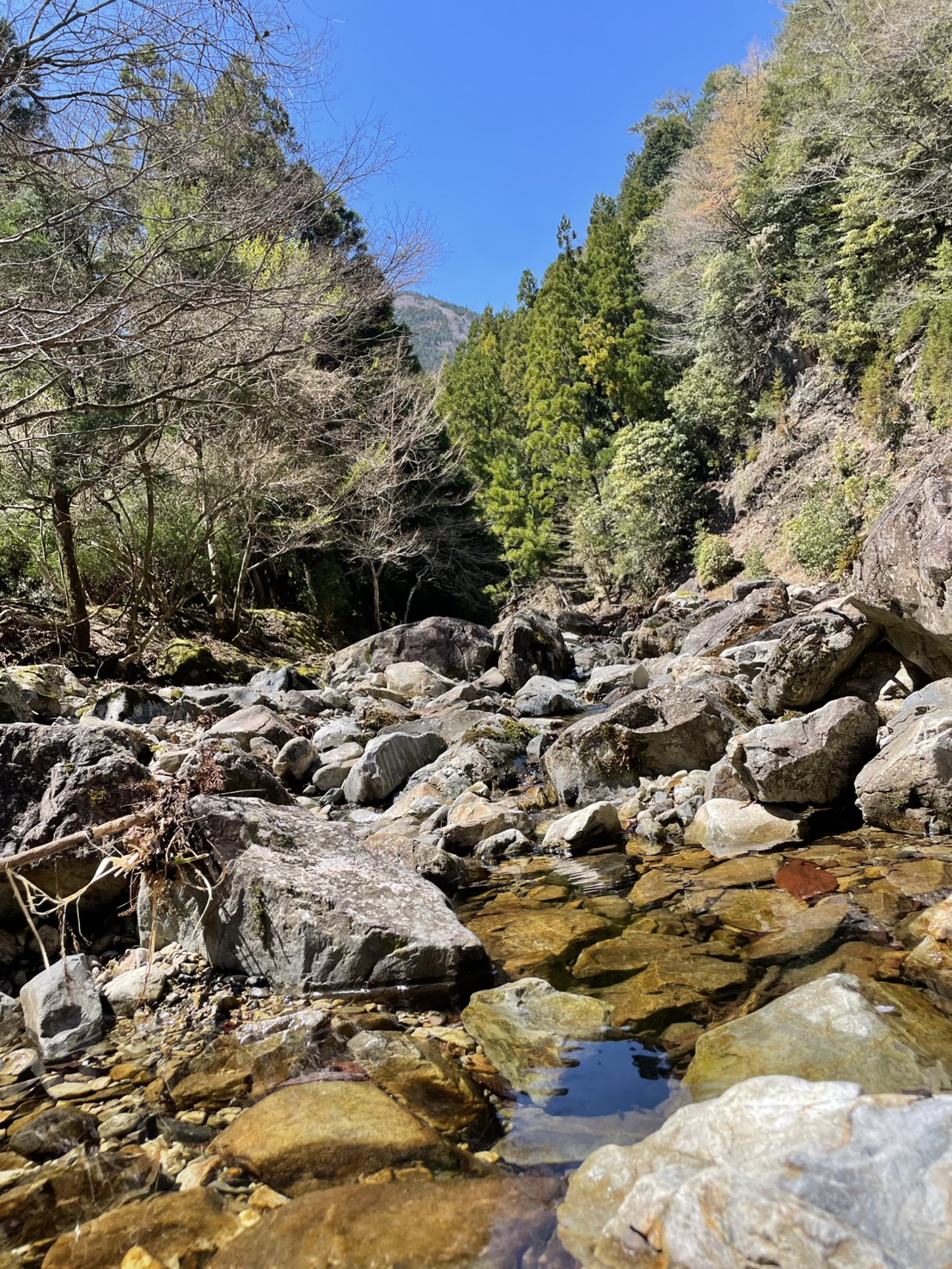 山の空気でリセット✨