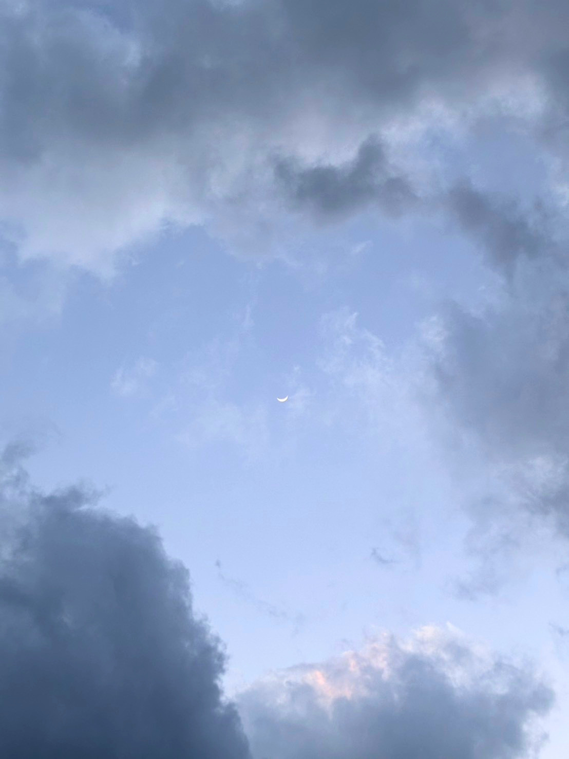 真昼の空に、白い月