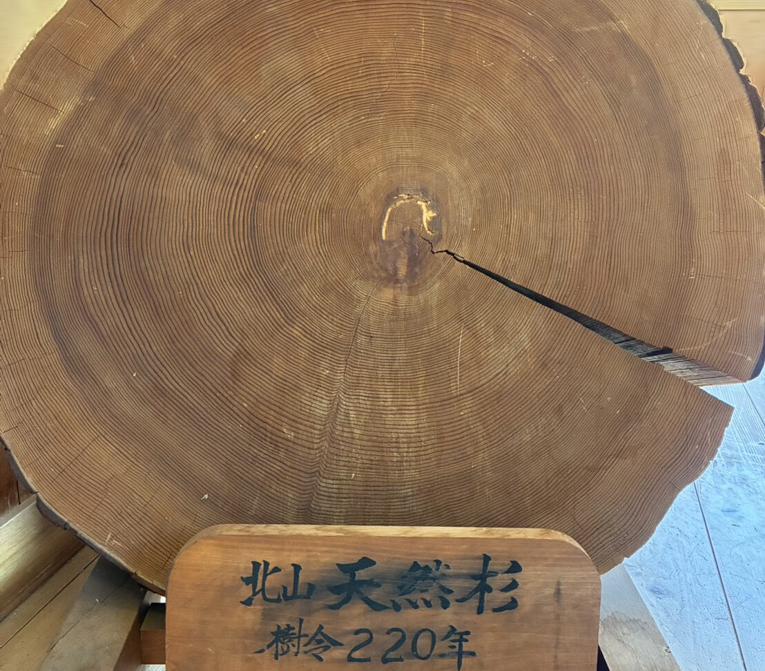 玄関の主！？