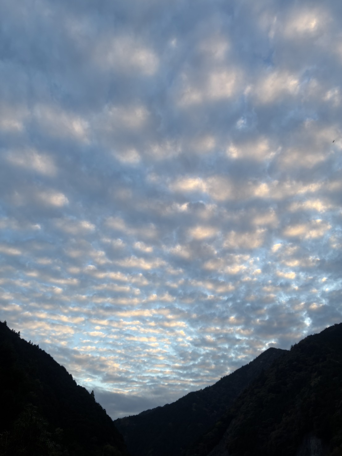 うろこ雲…なの？
