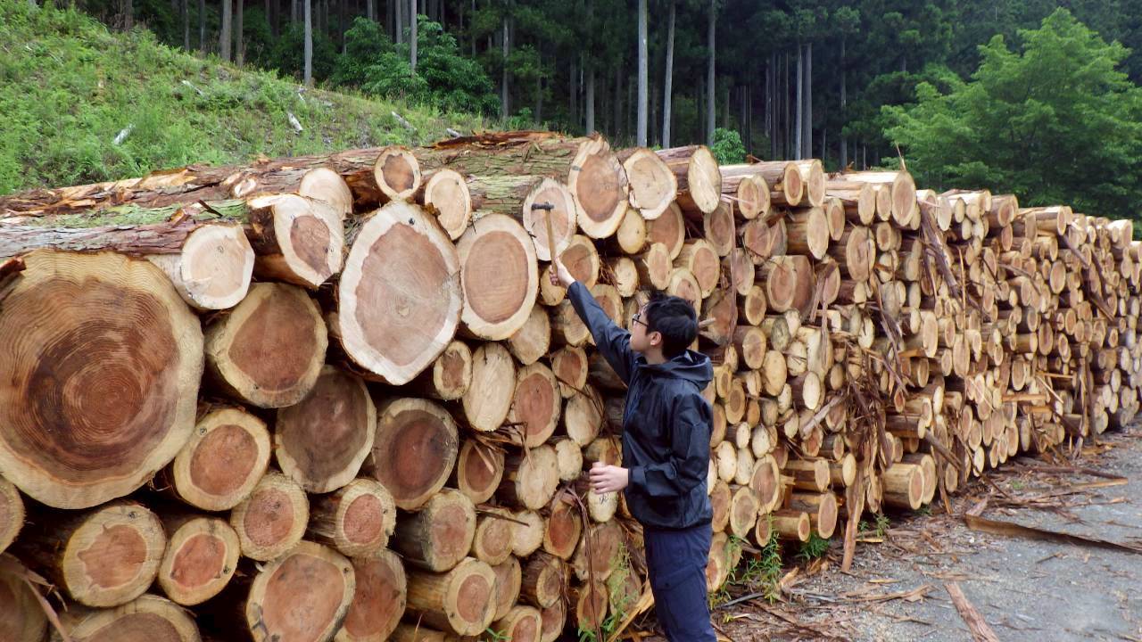 職場体験を実施しました🌲